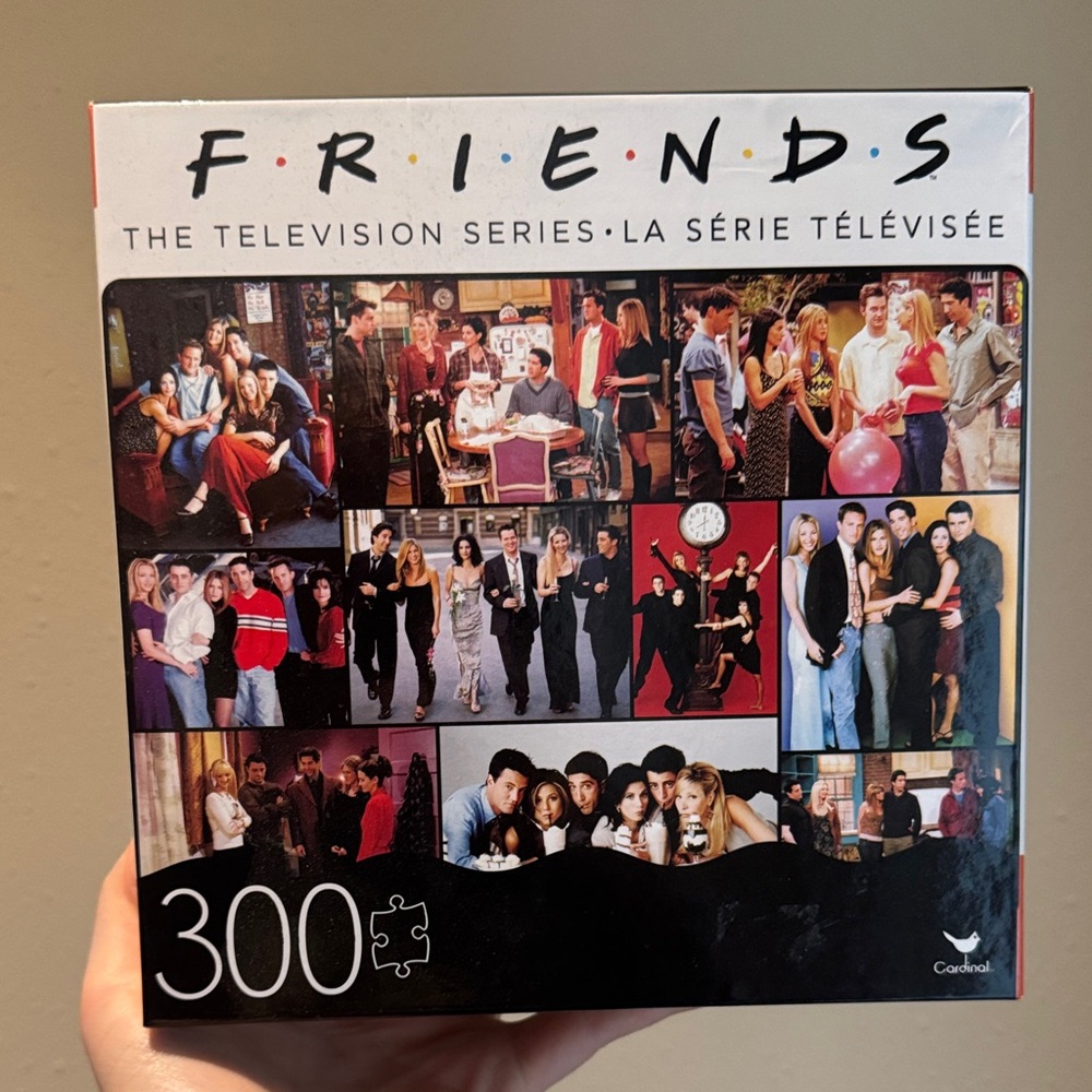 FRIENDS Puzzle - Multicolor 300 Piece Set